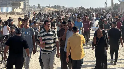 At Least 15 Killed Near Aid Center in Rafah Amid Israeli Shelling, Say Medics
